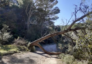 Tour Wandern Cheval-Blanc - gorge regalon Claudine Dan - Photo