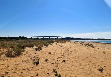 Tour Wandern Barbâtre - jeun rando J1 Baratre - Photo