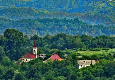 Excursión A pie  - Gabrovica - Kravljak - Photo