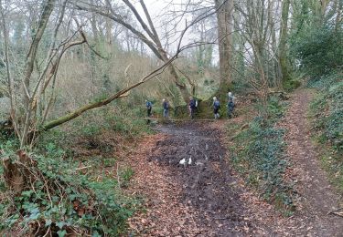 Excursión Marcha nórdica Saint-Méen - st méen - Photo