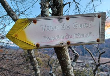 Trail Walking Château-Arnoux-Saint-Auban - CHATEAU ARNOUX.  S Jean , chemin des Bruyères,  les Grandes Côtes o l s - Photo