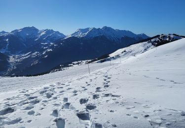 Tour Schneeschuhwandern Hauteluce -  Mont clocher bis - Photo