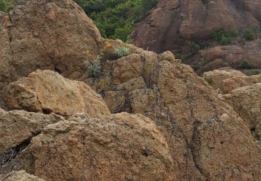 Randonnée Marche Fréjus - Frejus mont vinaigre 634m 13kms - Photo