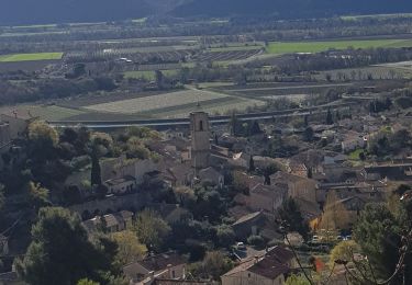 Trail Walking Volx - Volx ERWIN, les terres jaunes en passant par le sentier d'escalade.  - Photo