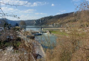 Randonnée Marche Dinant - Castel Anseremme Castel 11km - Photo