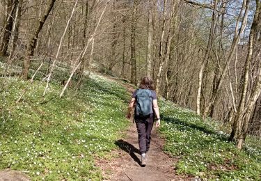 Tour Wandern Meix-devant-Virton - gerouville 2 - Photo