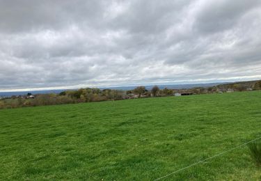 Randonnée Marche Durbuy - Bois et champs.  - Photo