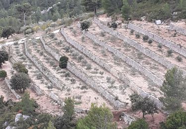 Excursión Senderismo Cuges-les-Pins - Cuges les pins + Trou du Vent - Photo