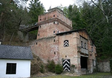 Excursión A pie Gemeinde Bromberg - Bad Erlach - Stupfenreith - Photo