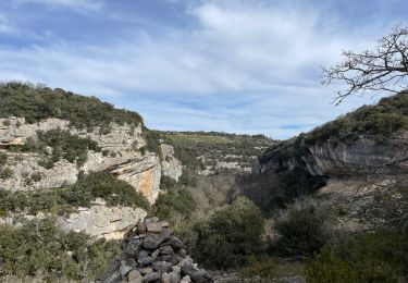 Randonnée Marche Buoux - PF-Buoux - Sivergues - Le Vallon de l'Aigue Brun - Reco - 25.03.2024 - Photo