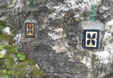 Excursión A pie Formazza - Rifugio Maria Luisa - Bocchetta di Valmaggia - Photo