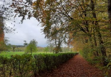 Tocht Stappen Modave - Château de Modave  - Photo