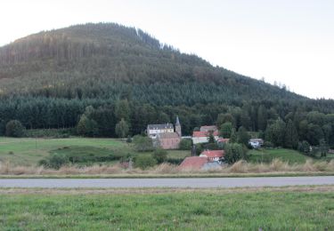 Percorso Equitazione Urbeis - Climont - Ban de Laveline - Photo