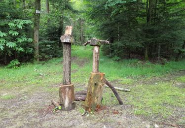 Tocht Stappen Beaumont-Louestault - 2019.06.13-7.8km-Beaumont la Ronce - Photo