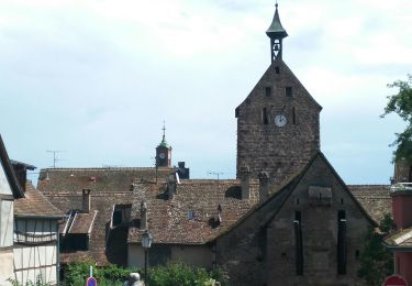 Tour Elektrofahrrad Rappoltsweiler - Ribeauvizllé et . slon , - Photo