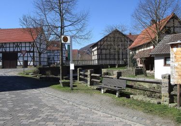 Trail On foot Edertal - Nationalparkrundweg Locheichen-Route - Photo