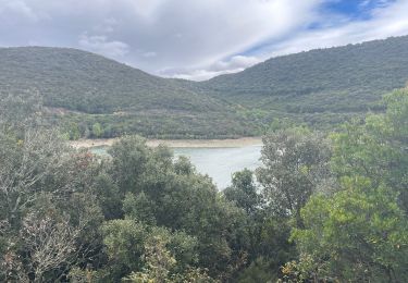 Randonnée Marche Vailhan - Le barrage des olivettes - Photo