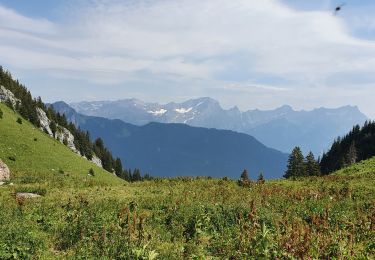 Tocht Stappen Leysin - la Rionda - Photo