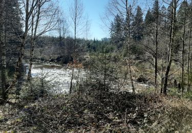 Percorso Mountainbike Eupen - eupen - Photo