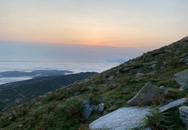 Trail Walking Ascain - La Rhune - Photo
