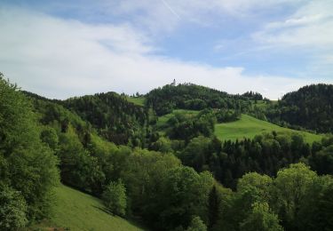 Trail On foot Leutschach an der Weinstraße - Kleeblattwanderweg Nr. 2 - Photo