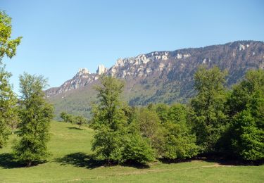 Tour Wandern Saint-Paul - St-Paul-G1-Boucle des Pins-Boucle de la Manche - Photo