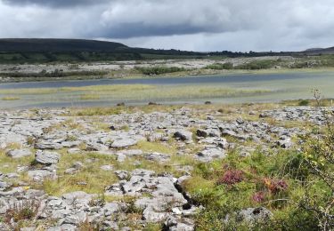 Trail Walking West Clare Municipal District - Mon parcours - Photo