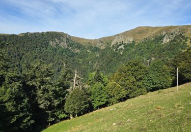 Tour Wandern Stoßweier - 2024 - Gaschney  - Photo