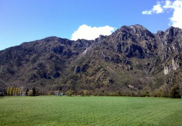 Tocht Te voet Tremosine sul Garda - San Michele, Malga Lorina - Photo