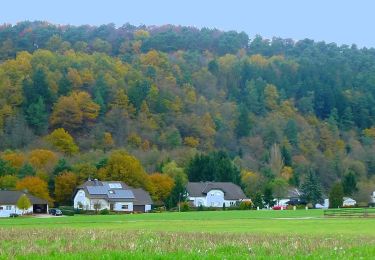 Randonnée A pied Mengerschied - Traumschleife Soonwald - Photo