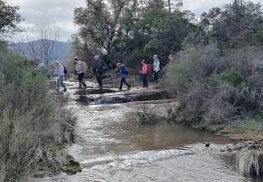 Excursión Senderismo Le Cannet-des-Maures - la plaine des maures - Photo