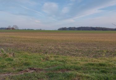 Trail Walking Roncherolles-sur-le-Vivier - 20250218 Roncherolles Darnetal - Photo