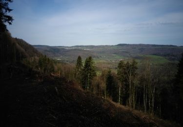 Tocht Stappen Orgeans-Blanchefontaine - Orgeans Rocher du Boubet et Grottes de Waroly (IBP 89 ) 26 avril 2021 CAF - Photo