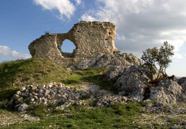 Tour Wandern Mérindol - Merindol - Lacoste - Photo