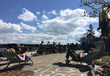 Tocht Te voet Gemeinde Kirchberg an der Pielach - Hohenstein - Photo