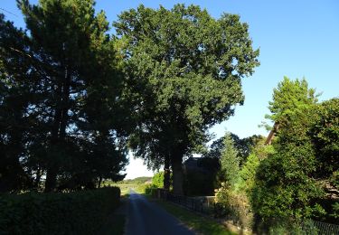 Tocht Te voet Kalkar - Mühlenwanderweg - Photo