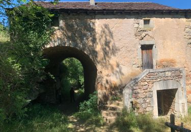 Trail Walking Saint-Sauveur-Camprieu - Marie Joseph - Photo