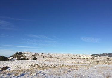 Trail Walking Caussols - Calern - Photo