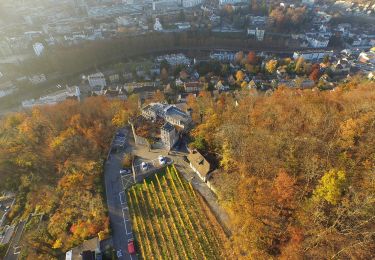 Percorso A piedi Wettingen - Schartenfels - Lägernsattel - Photo