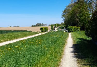 Tour Wandern Thorigny-sur-Marne - Carnetin - Aqueduc de la Dhuys - Forêt des Vallieres - Photo