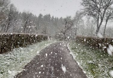 Tocht Stappen Bütgenbach - Elsenborn  - Photo