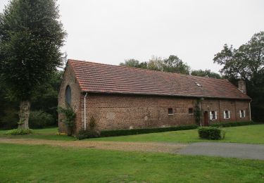 Tocht Te voet Oudsbergen - Bosbeekvallei Rode vierkant - Photo
