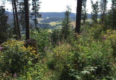 Tocht Mountainbike Lapoutroie - Les Alisiers - Lacs Blanc et Noir - Orbey  - Photo