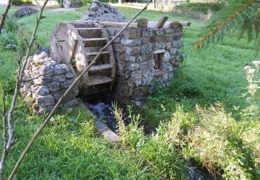 Tour Wandern Valorbiquet - St Cyr du Ronceray  - Photo