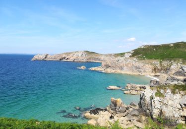 Trail Walking Beuzec-Cap-Sizun - pointe de beuzec 2019 - Photo