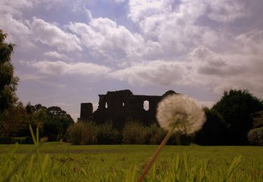 Tocht Te voet The Municipal District of Greystones - Delgany Heritage Trail - Photo