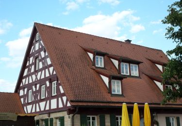 Randonnée A pied Rückersdorf - Rückersdorfer Rundweg - Photo