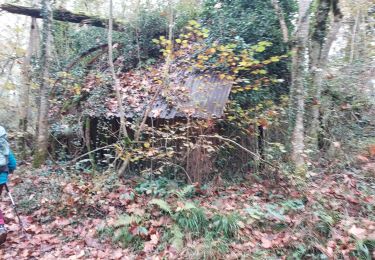 Trail Walking Ossas-Suhare - ossas suhare G4FAIT  - Photo