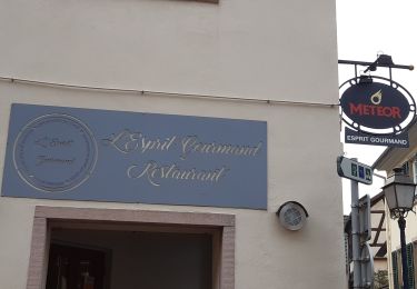Randonnée Marche Ottrott - boucle Ottrott  par Barr - Photo