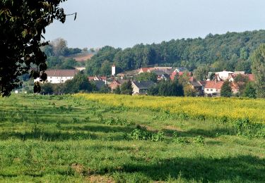 Trail On foot Mertendorf - Zwei Täler Rundweg - Photo